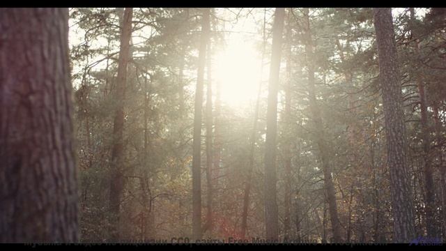 Это видео - как путешествие в другой мир! - The Karmic Brainseed Wheel -- Omniman -- Unnamed Album