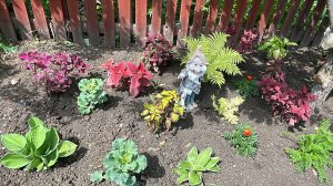 🏡 Обзор цветов на усадьбе на начало лета, на 12 июня 2025 года.