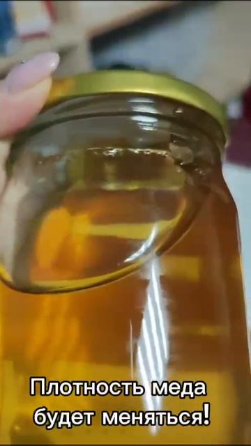 Мед Акации 2025 года