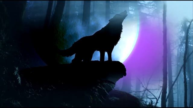 ДУХ диких прерий - Денис Назин (The SPIRIT of wild prairies - Denis Nazin) смотреть онлайн