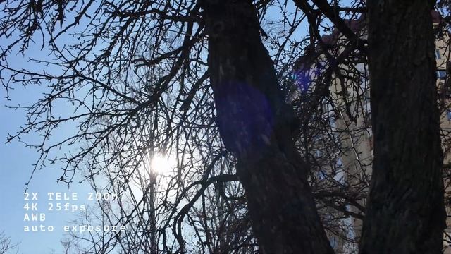 Новая прошивка DJI POCKET 3!!! Крутая фишка 2X ZOOM #влог