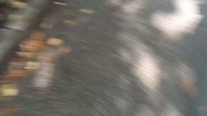 тест универсальных ключей домофонов