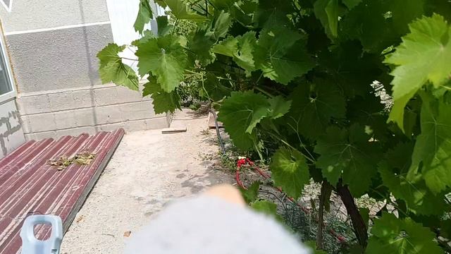 Путешествие