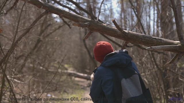 Кадры природы, которые вдохновят на подвиги - смотрите! - Whiskey Waltz -- Ketsa -- 1 Of 1