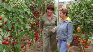 В гостях у Натальи Петренко Часть 2