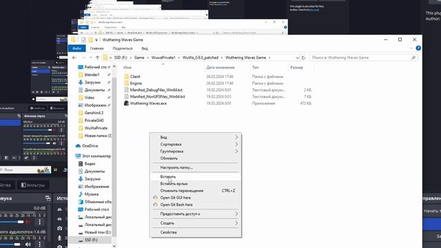 Установка ПРИВАТНОГО сервера Wuthering Waves смотреть онлайн