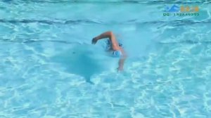 Полное погружение кроль 2010 методика Терри Лафлина Total Immersion