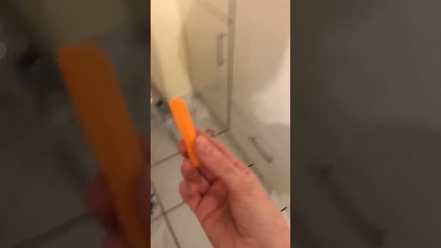 Ешь морковь, она полезная!