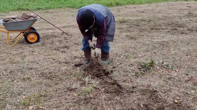 Наш любимый участок.Света нет, воды нет, сажаем саженц?