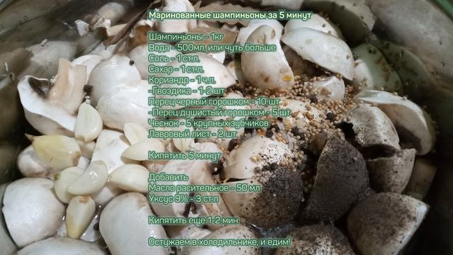 Грибы шампиньоны маринованные за 5 минут смотреть онлайн