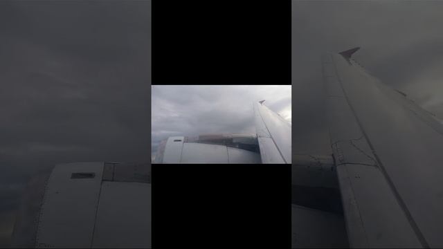 Airbus 321-200 а/к Ural airlines | рейс Москва - Сочи смотреть онлайн