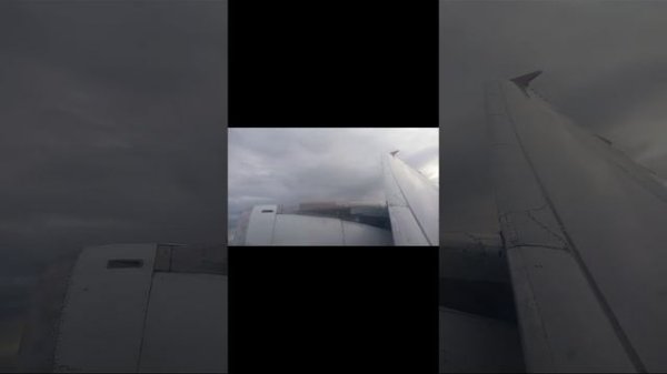 Airbus 321-200 а/к Ural airlines | рейс Москва - Сочи