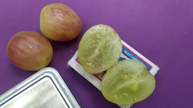 Дынька виноград раннего срока созревания урожайный и