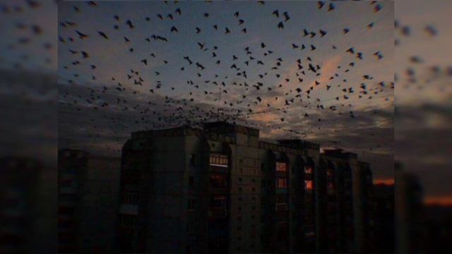 Bishkek-крыша Slowed