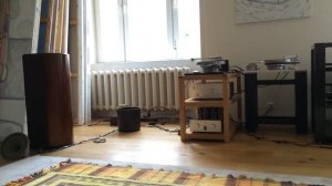 Доработанные Михаилом Ураковым динамики Siemens 307