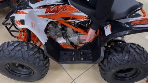 ДЕТСКИЙ КВАДРОЦИКЛ / КВАДРОЦИКЛ ДЛЯ НАЧИНАЮЩИХ KAYO AT 110