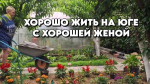 917 Жизнь семьи после переезда/Наводим красоту в саду/Юг России