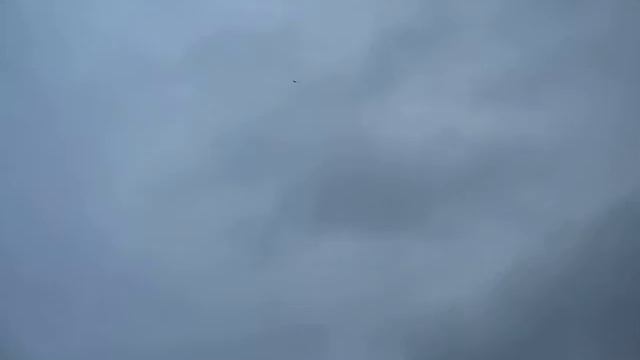 MVI_0139 - копия-splitter-02(1)