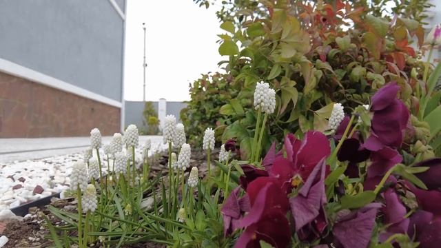 Сад с Катериной Говоровой (сады, которые мы создаем) са