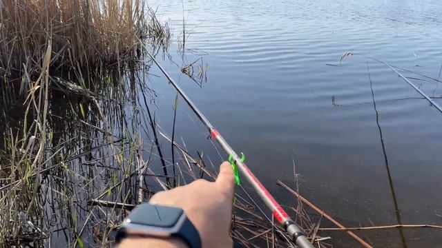 Весенняя рыбалка 2025 — Улов, ASMR, природа