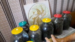 Технология получения чая из любых листьев-ГАБа чая.