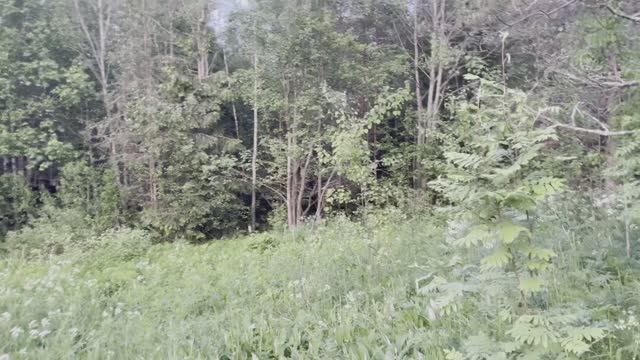 Продется редкий участок на границе с лесом.
Уютное, ухоженное, дружное садоводство! смотреть онлайн