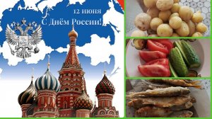 Vlog С ДНЁМ РОССИИ! Собрали первые огурчики. Наловили рыбы