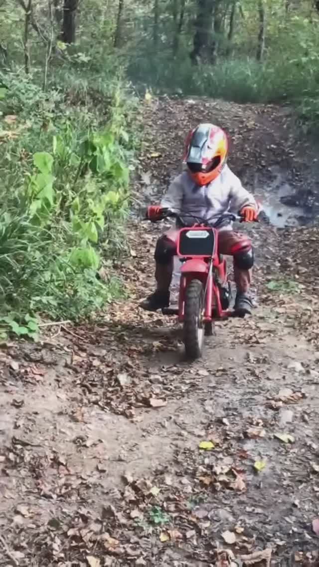 Трейлер к фильму 
«Утята на прогулке»  
👦 🏍️ 😊

Октябрь 2024г.