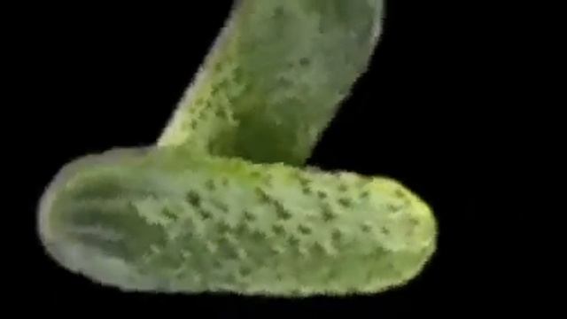 Помидор 1 час