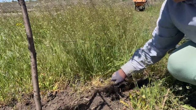 Повесили полки на кухне, смерч на огороде и роскошная ?