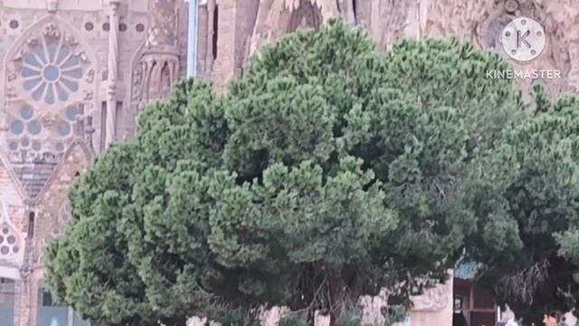 Хеппи.Кто кому сталкер на самом деле?Может слова МН пр?