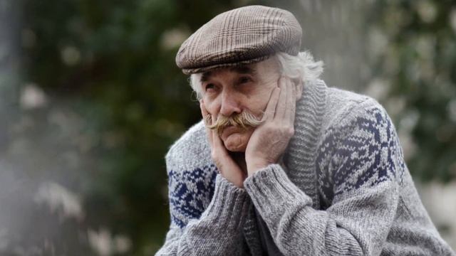 У БЕРЁЗЫ слова Надежды Шкариной музыка исполняет Юрий Старцев баян смотреть онлайн