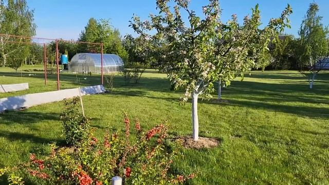 Посадка цветов несмотря на холод в Беларуси. Посылка с смотреть онлайн