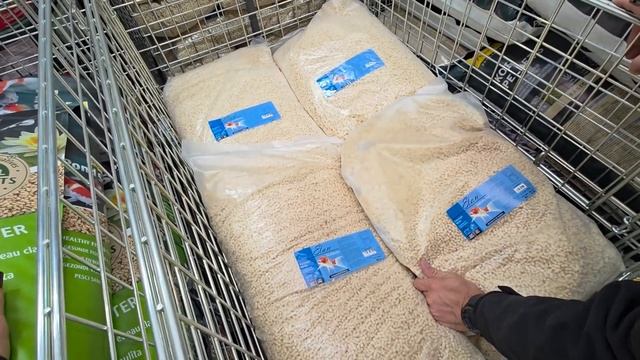 ПОКУПКА РАССАДЫ И РАСТЕНИЙ ДЛЯ ПРУДА ☘️ #вода#пруд#ко?