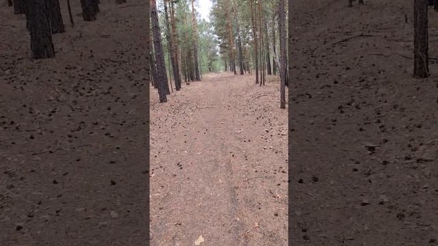 Вечная Тайна смотреть онлайн