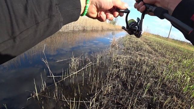 ПРОГНОЗ КЛЁВА С 3 ПО 6 МАЯ.ЛУННЫЙ КАЛЕНДАРЬ.