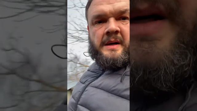 2024. Саженцы винограда-1