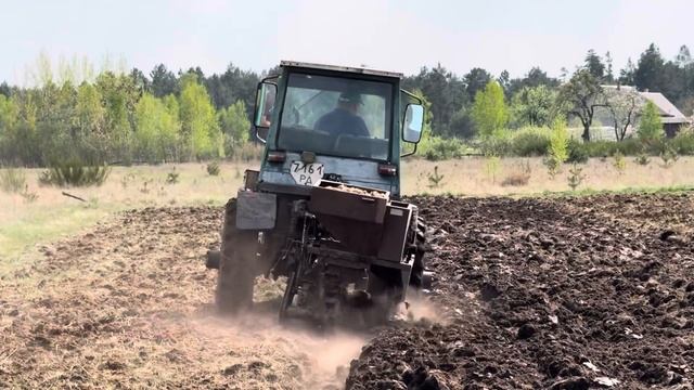 Весна, Город картопля посадка Гній, ХТО МАЄ РОБИТИ?