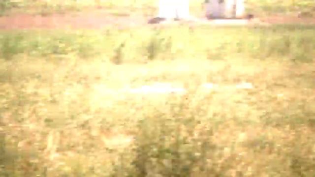 где и как можно покупать помидоры