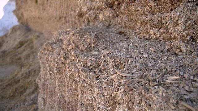 Качественный силос — залог высоких надоев