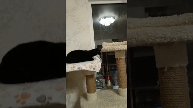 Моя большая дружная семья