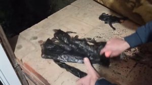 Обзор посылки с виноградом с канала Владимир Шпак!