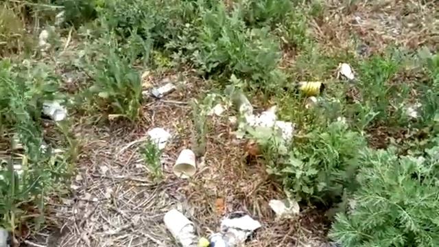 в какую сторону мотать гениталиями??? смотреть онлайн