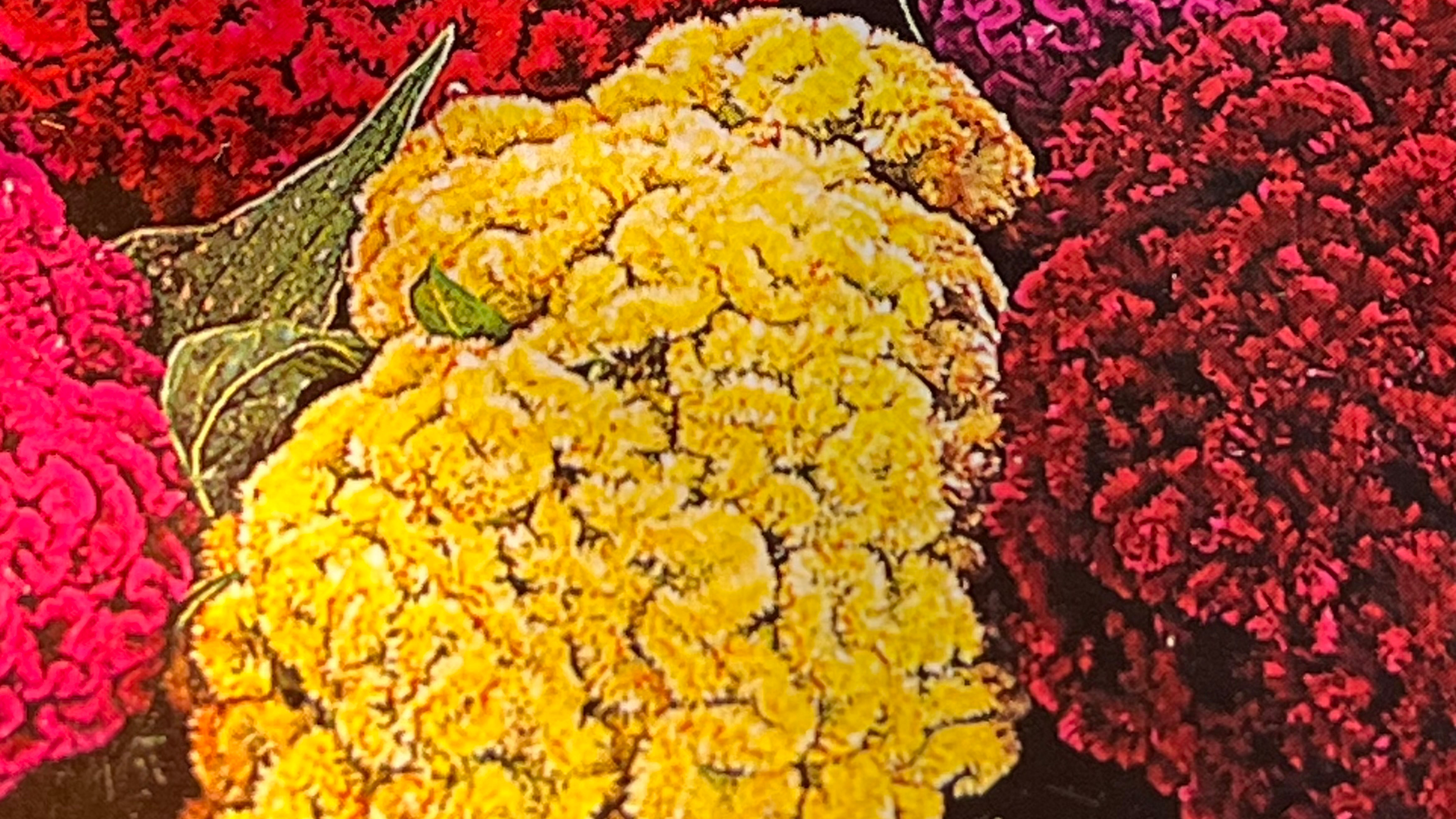 Влог 6/2025 смотреть онлайн