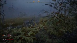 S.T.A.L.K.E.R. 2 Часть 28: Через тернии к звездам
