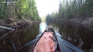 Обратный тяжёлый путь домой. Забрал фотоловушки. 9 серия