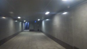 Лифты КМЗ Пегасы в подземном переходе Комсомольский проспект