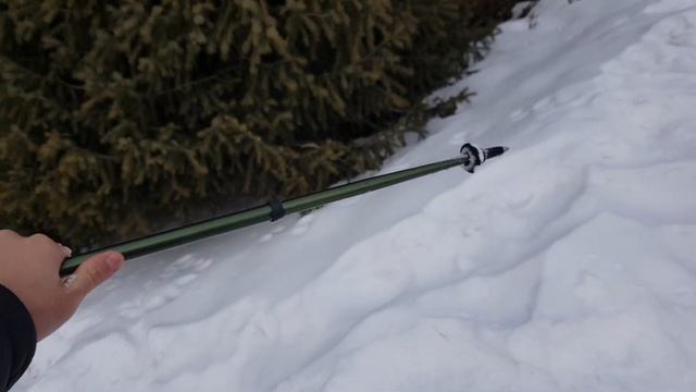 Треккинговые палки Декатлон FORCLAZ MT100