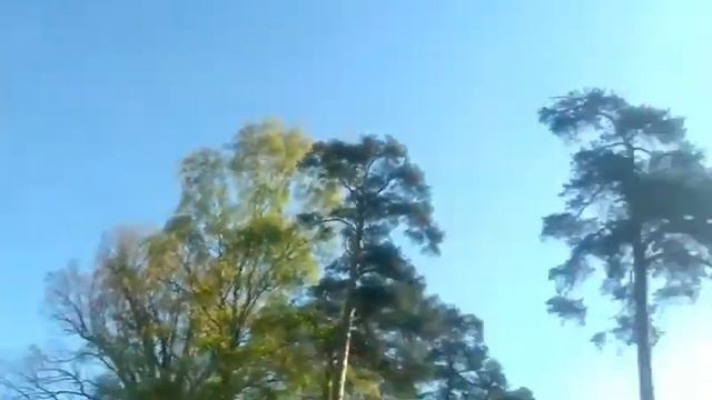 Аз здесь всегда всё имею сейчас(4 июня 2022 г.)_М.М.КаРАоКи