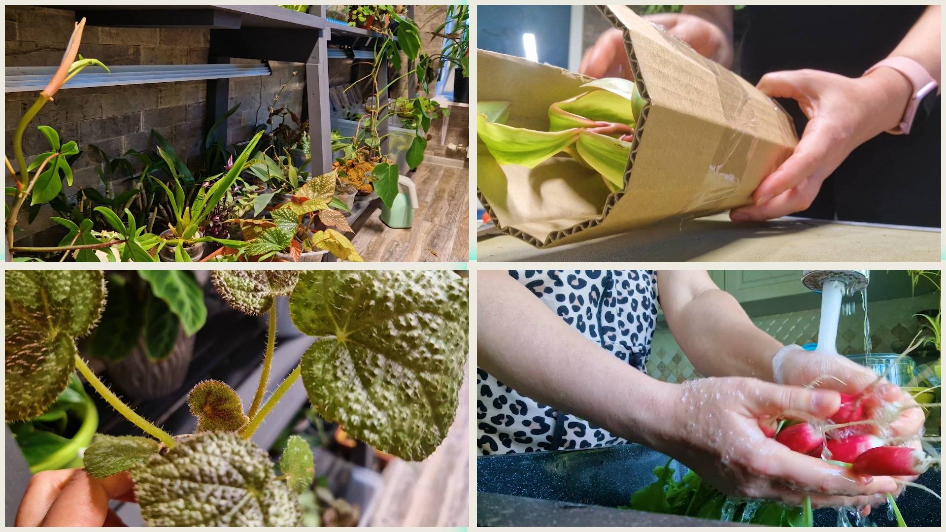 Никогда не говорите эти слова! Местные блогеры с подарками у нас в гостях. Освещение нижнего яруса в смотреть онлайн